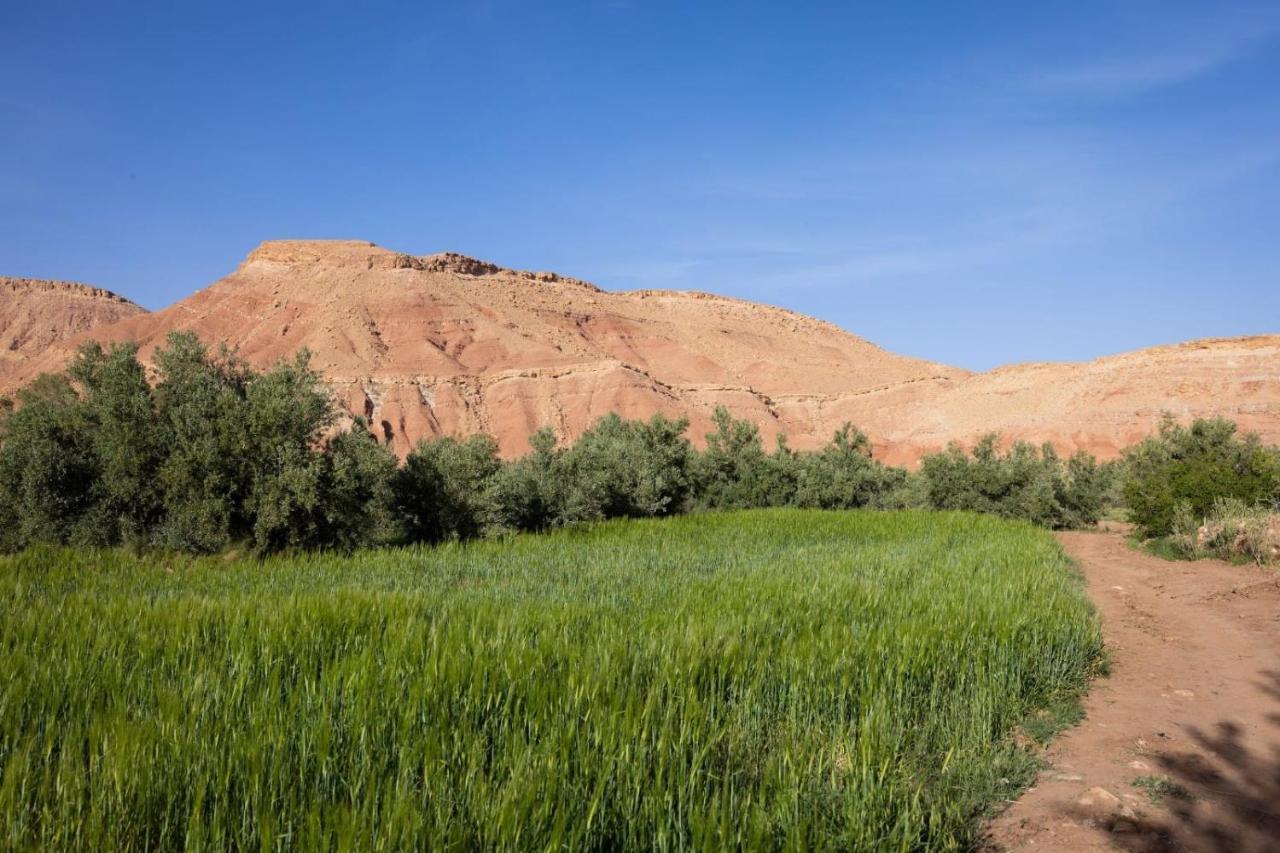 Riad Tigmi du Soleil Aït-Ben-Haddou Exterior foto